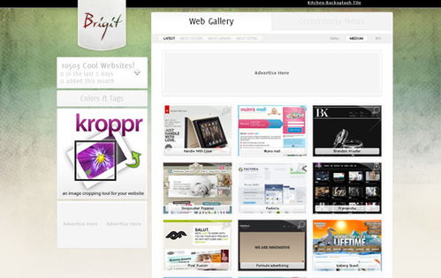 36个精选网站 探索与收集互联网信息服务业务领域的网页设计杰作