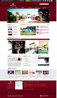 大连新图闻科技 一站式互联网信息服务与网站建设解决方案