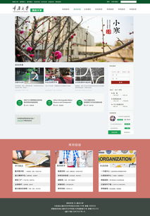 2016年7月重庆大学新版主页二级网页设计与互联网信息服务业务分析